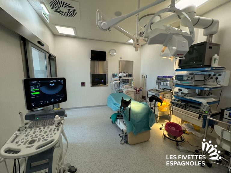 Clinique PMA Don ovocytes Tambre Madrid (2)