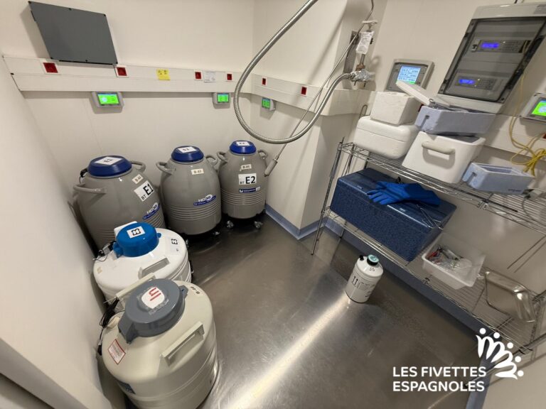 clinique fiv don ovocytes girexx barcelone 2025 (14)