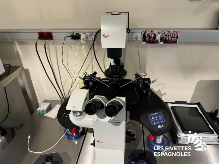 ivf life alicante novembre 2023 (61)