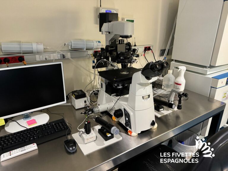 ivf life alicante novembre 2023 (62)