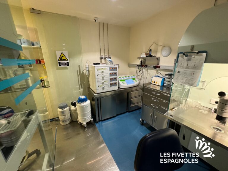 ivf life alicante novembre 2023 (65)