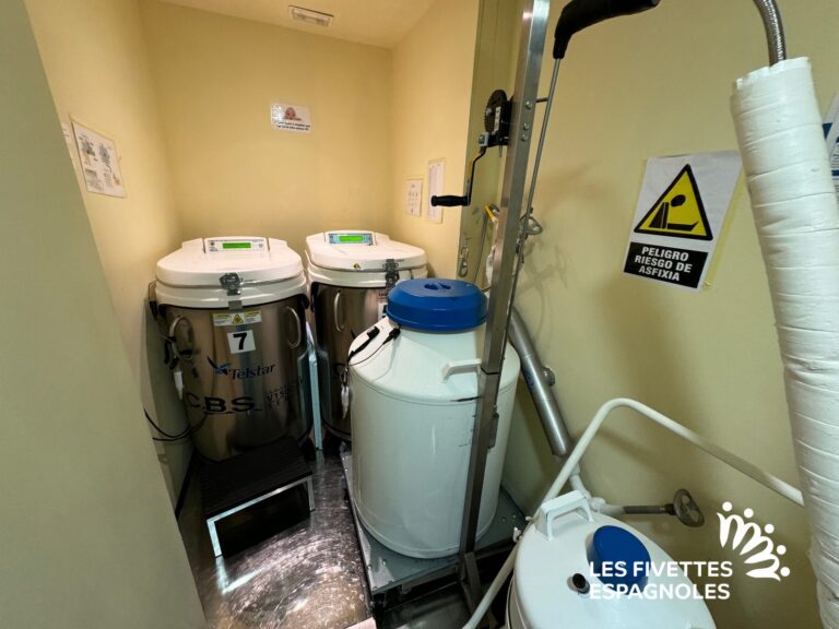 ivf life alicante novembre 2023 (67)