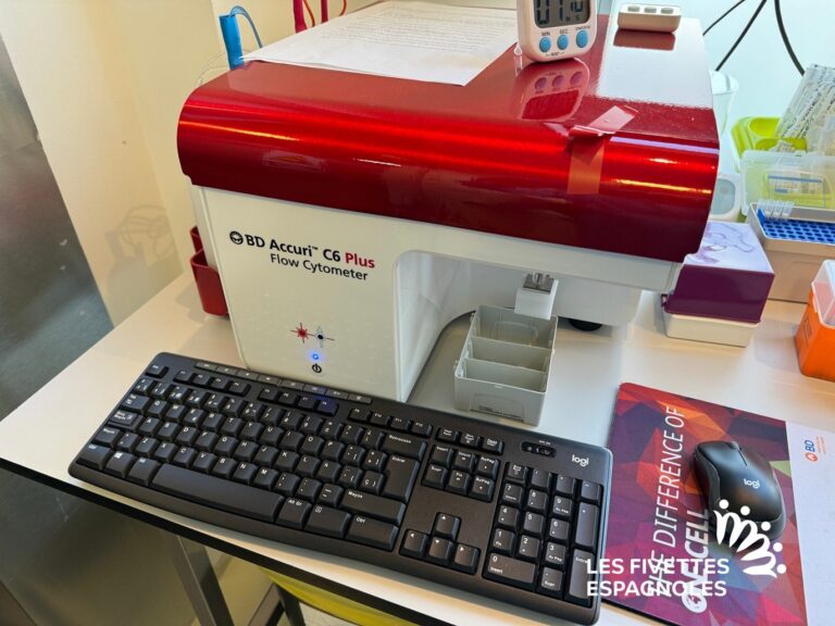 ivf life alicante novembre 2023 (76)
